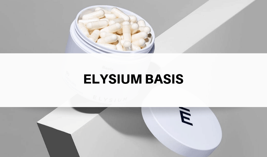 elysium basis
