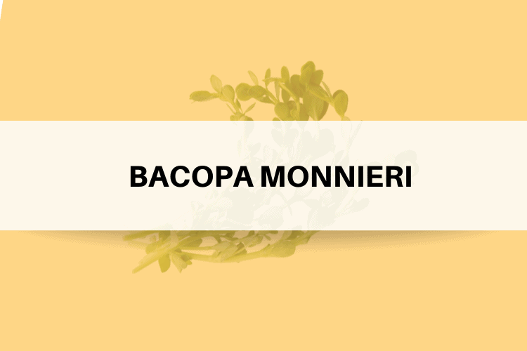 BACOPA MONNIERI REVIEW