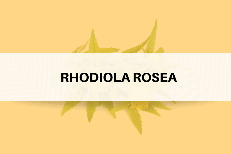 RHODIOLA ROSEA REVIEW